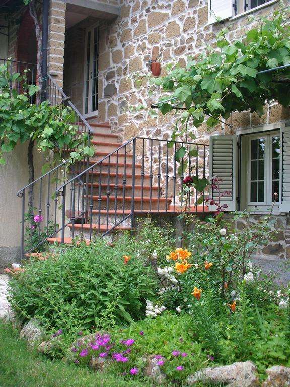 Podere Le Chiuse 索瓦纳 客房 照片