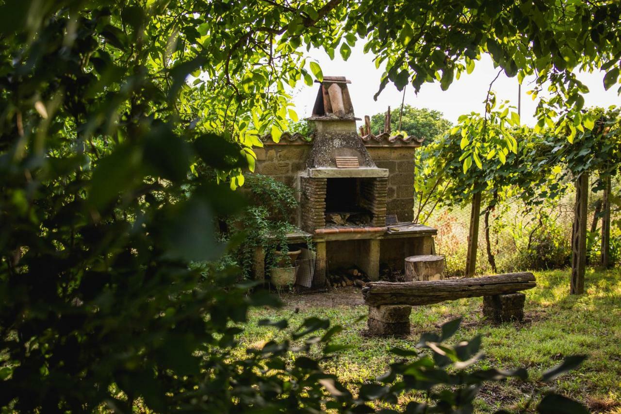 Podere Le Chiuse 索瓦纳 外观 照片