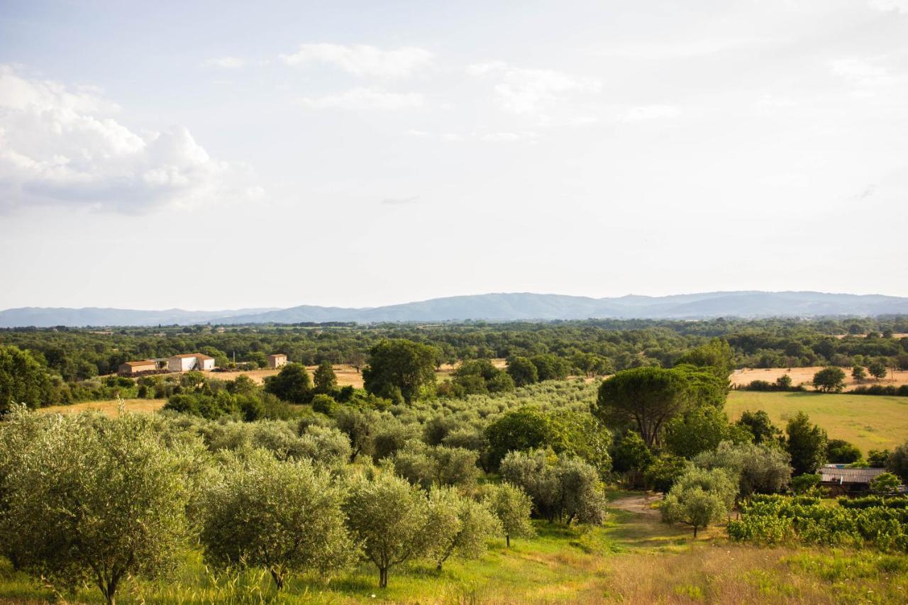 Podere Le Chiuse 索瓦纳 外观 照片